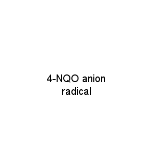 4-NQO anion radical